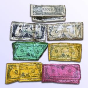 1980 Dollargeldbeutel Web