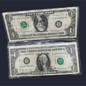 1990 Originaldollargeldbeutel Web